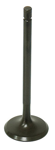 Bronco Intake Valve • #183-09500