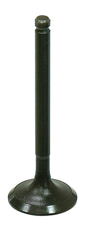 Bronco Intake Valve • #183-09212