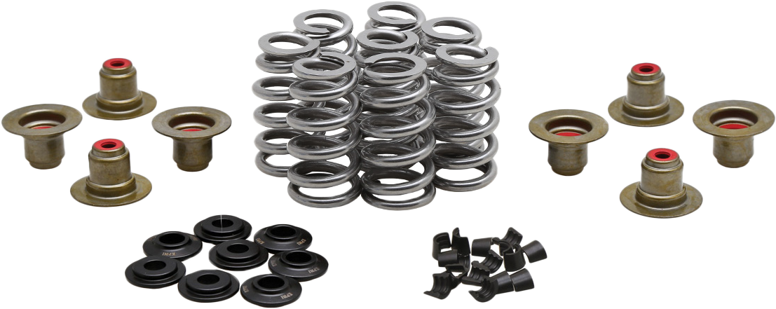 Kpmi BEEHIVE VALVE SPRING KIT .640 LIFT M8`17-24 NON VVT