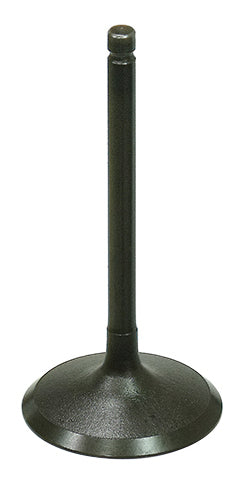 Bronco Intake Valve • #183-09219