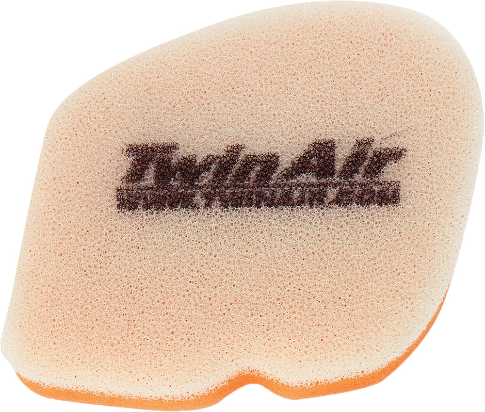 Twin Air Air Filter • #715-0009