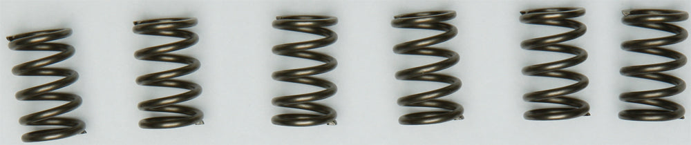 Ebc Clutch Springs Csk171