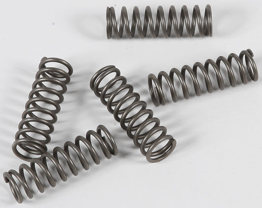 Ebc Clutch Springs Csk124