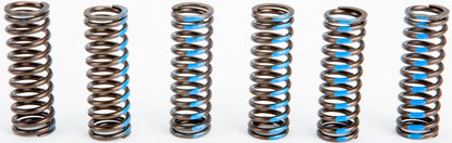 Pro Circuit High Performance Clutch Springs