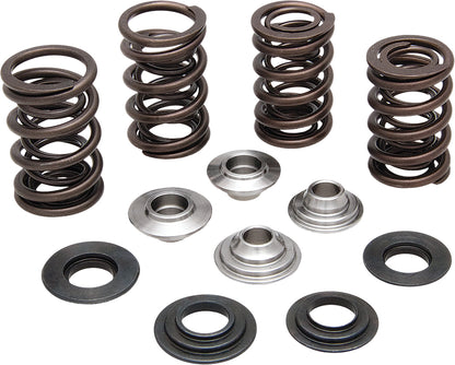 Kpmi Valve Spring Kit