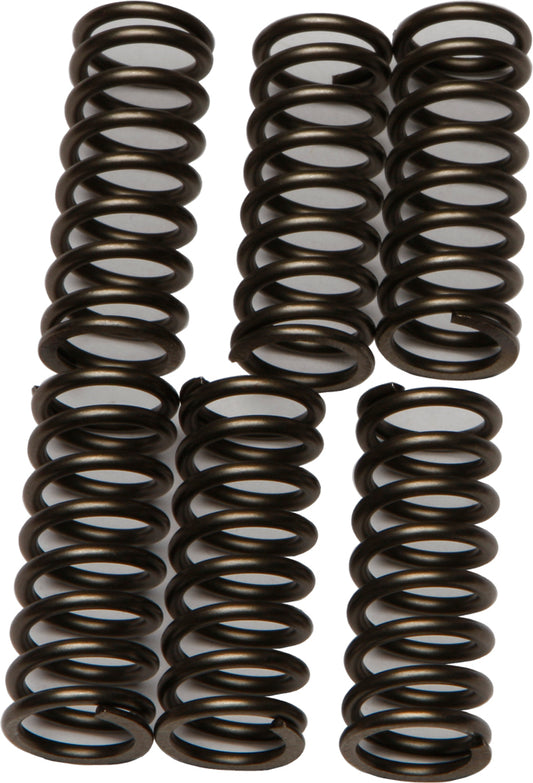 Ebc Clutch Springs Csk196