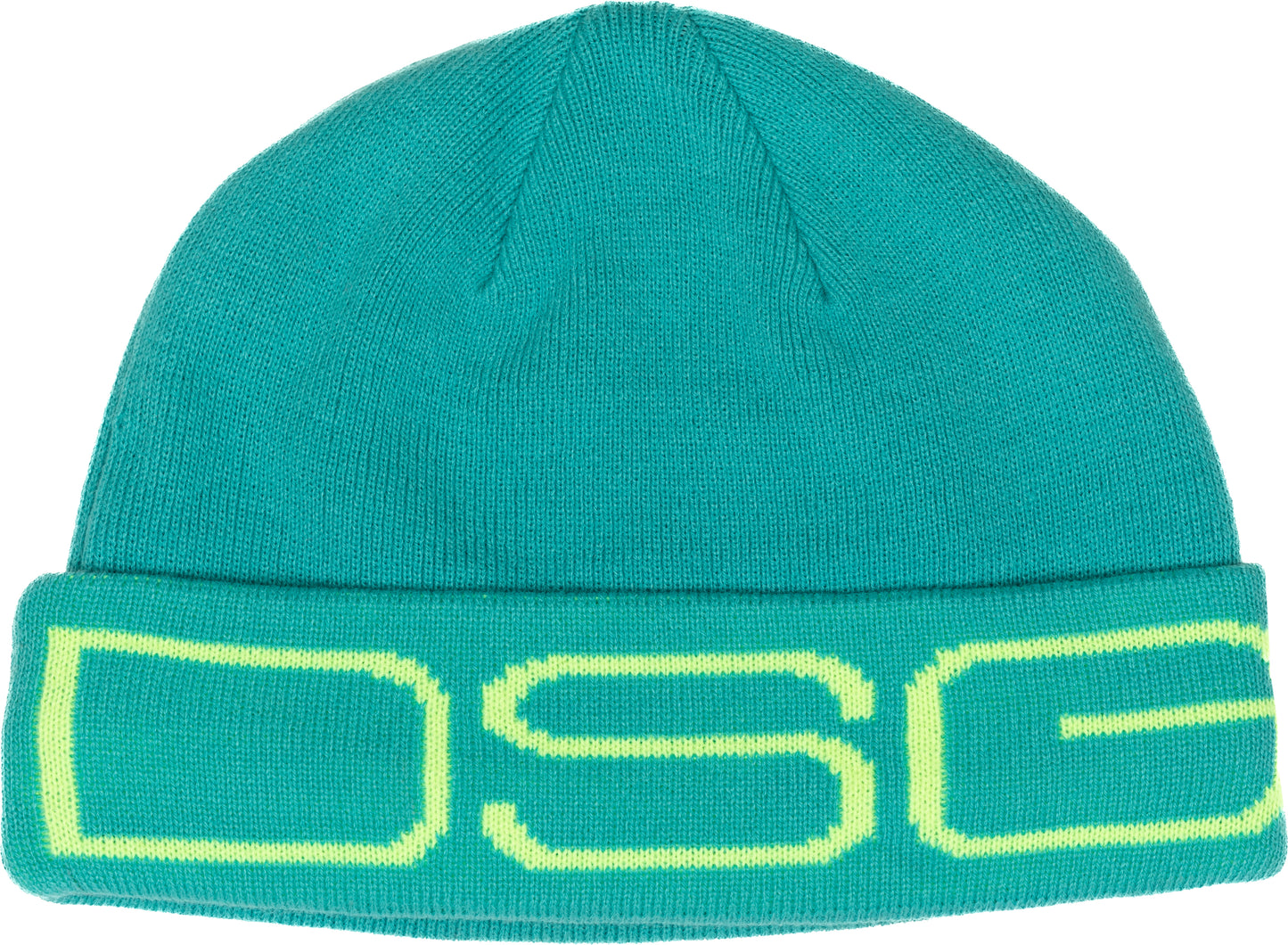 Dsg Logo Beanie