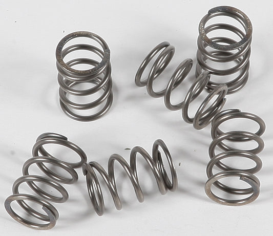 Ebc Clutch Springs Csk197