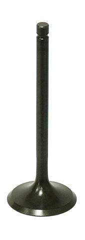 Bronco Intake Valve • #183-09518