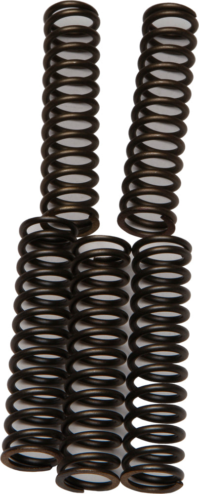 Ebc Clutch Springs Csk110