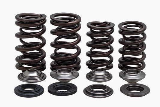 Kpmi Racing Valve Spring Kit • #191-21017