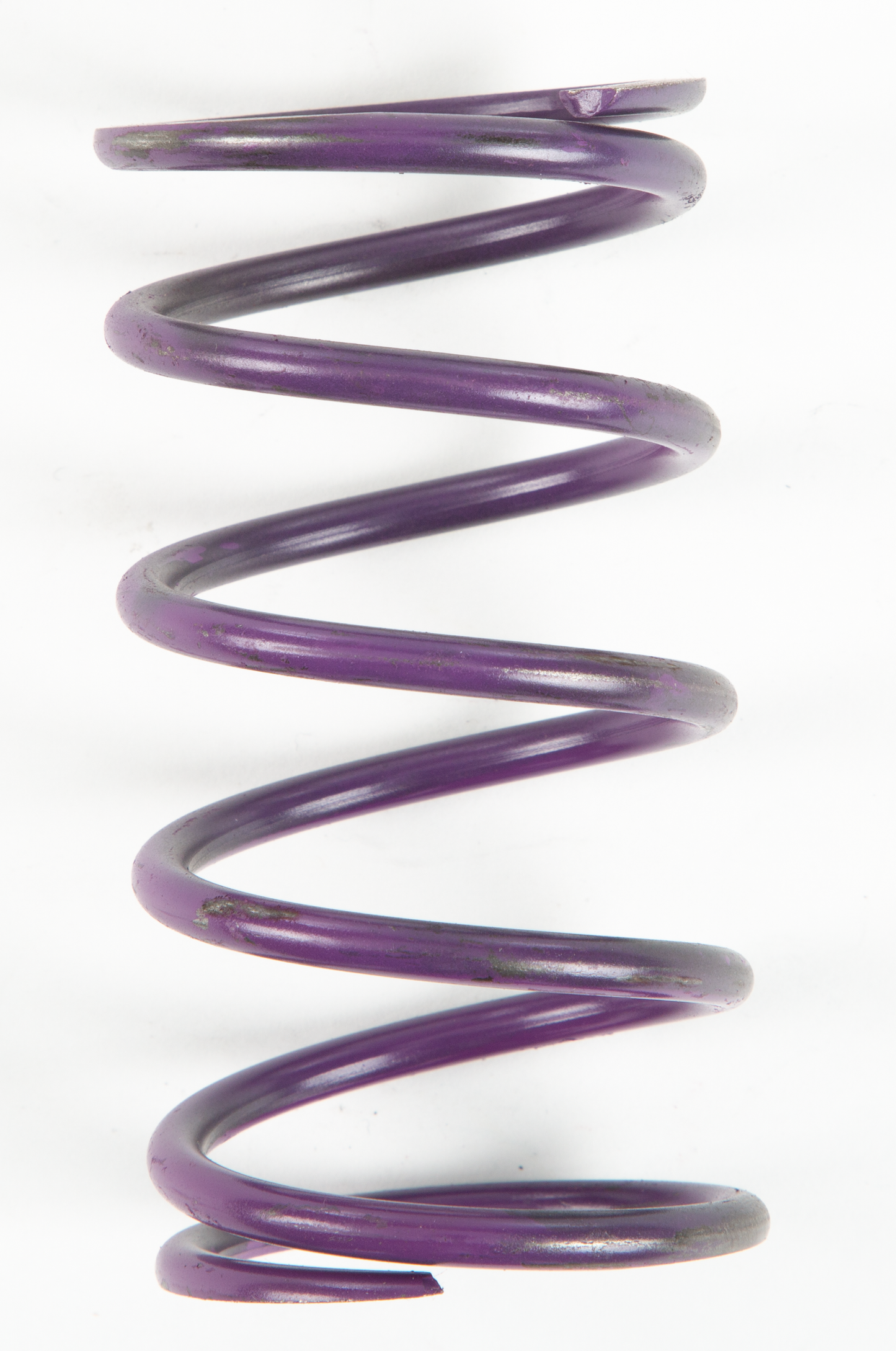 Comet Purple Spring • #207888