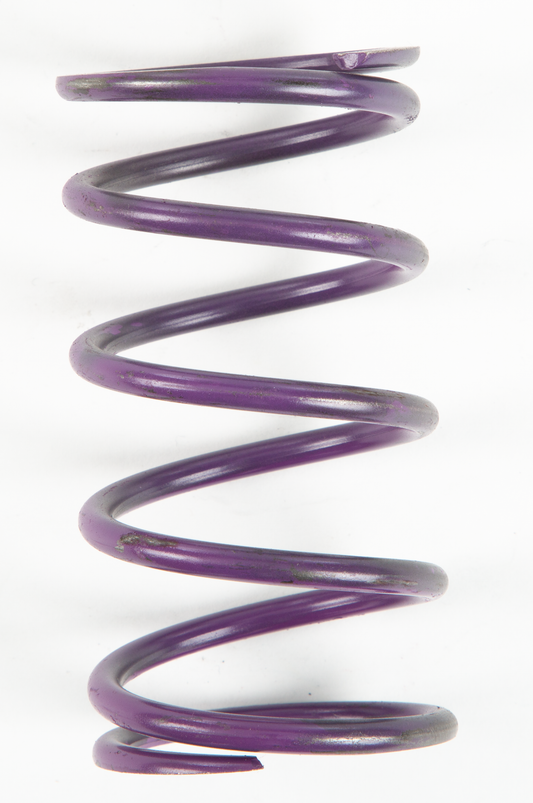 Comet Purple Spring • #207888