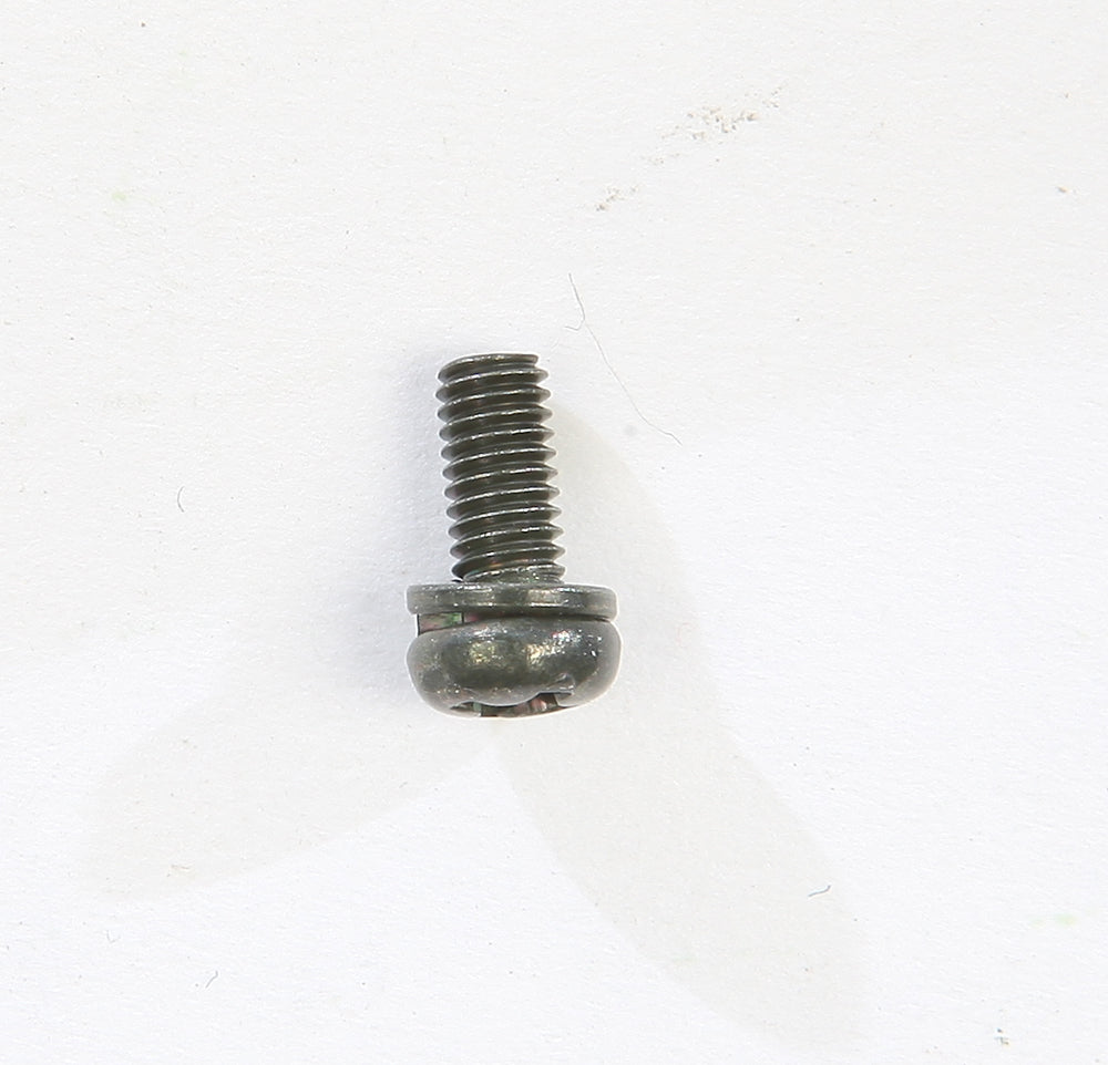 Mikuni Screw W/Washer