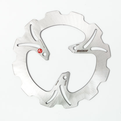 Braking Rear Brake Rotor