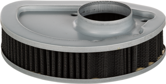 Harddrive Performance Air Filter Repl Oem 29400045