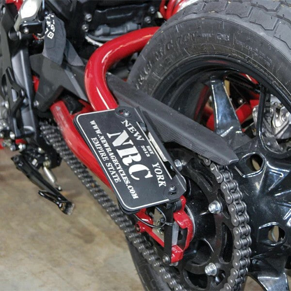 New Rage Cycles Indian FTR Fender Eliminator