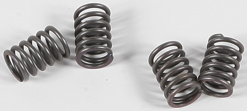 Ebc Clutch Springs Csk48