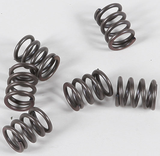 Ebc Clutch Springs Csk21