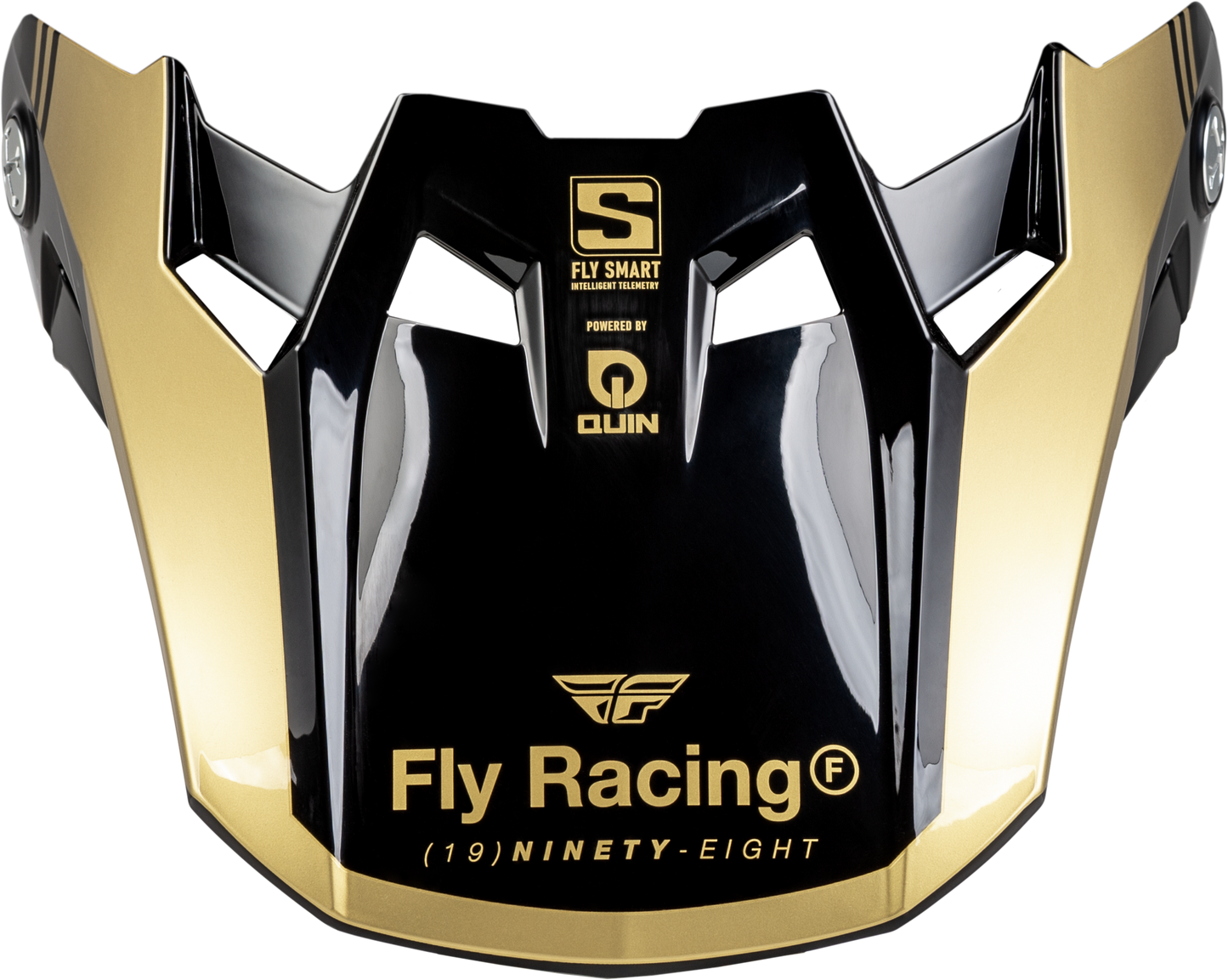 Fly Racing Formula S Carbon Legacy Visor Black/Gold Xl/2X