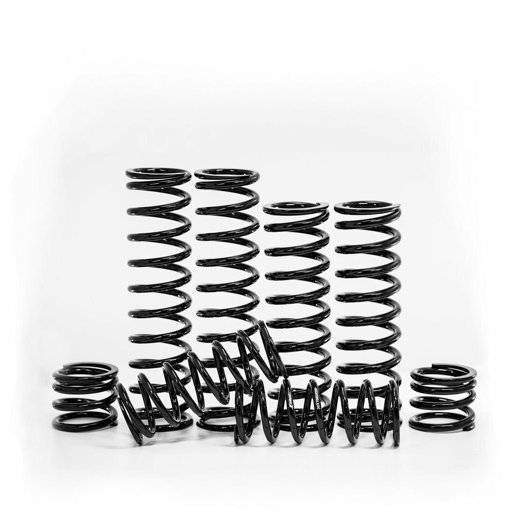 Zbroz Dual Rate Spring Kit Hon