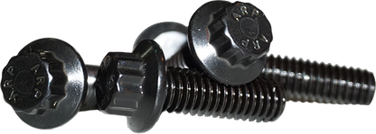 Lyndall Brakes 12 Point Front Rotor bolts