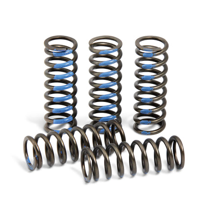 Pro Circuit High Performance Clutch Springs