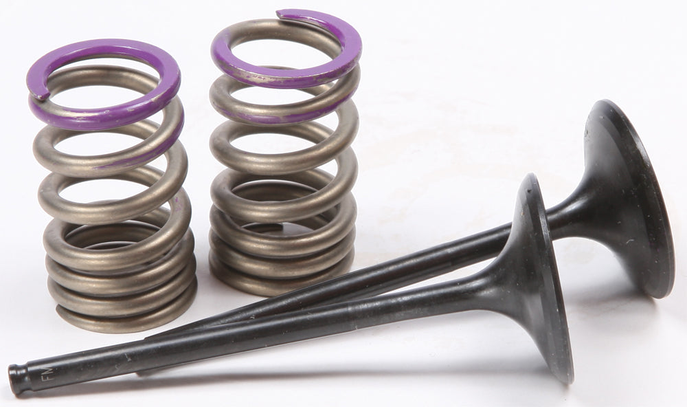 Prox Steel Intake Spring Kit