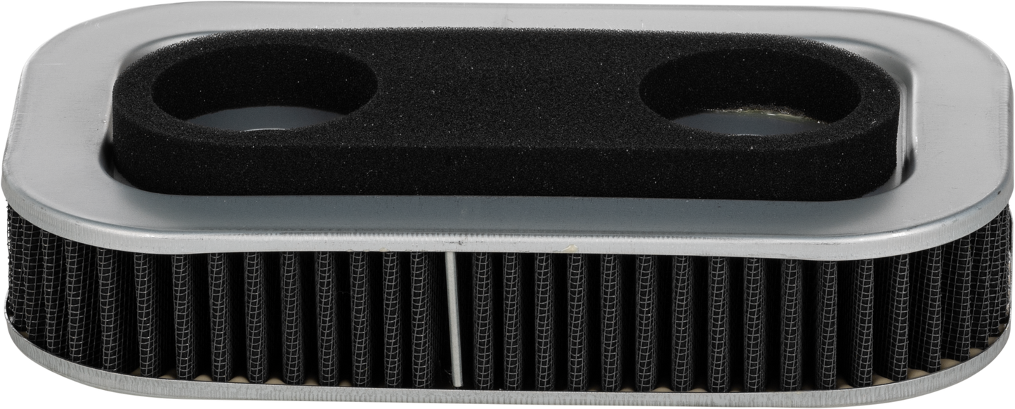 Harddrive Performance Air Filter Repl Oem 29331-96/29036-88B