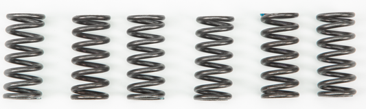 Ebc Clutch Springs Csk2