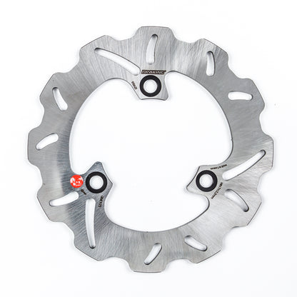 Braking Rear Brake Rotor