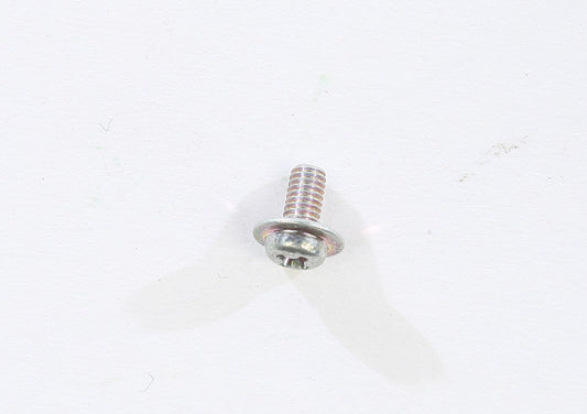 Mikuni Screw