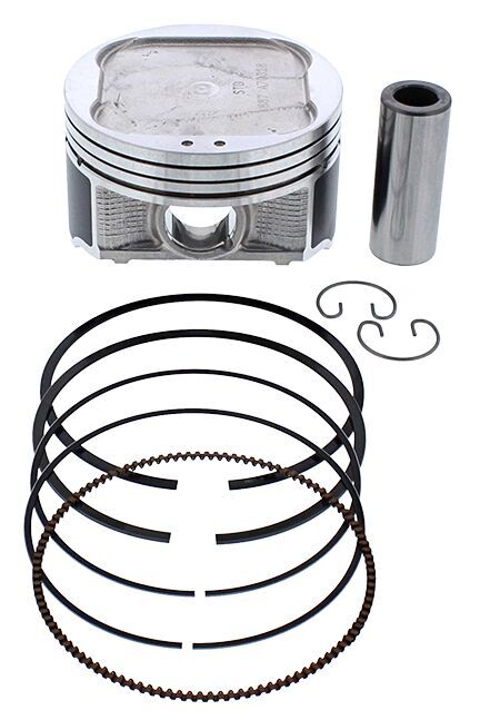 Vertex Piston Kit Cast 91.98/Std 10.2:1 Pol