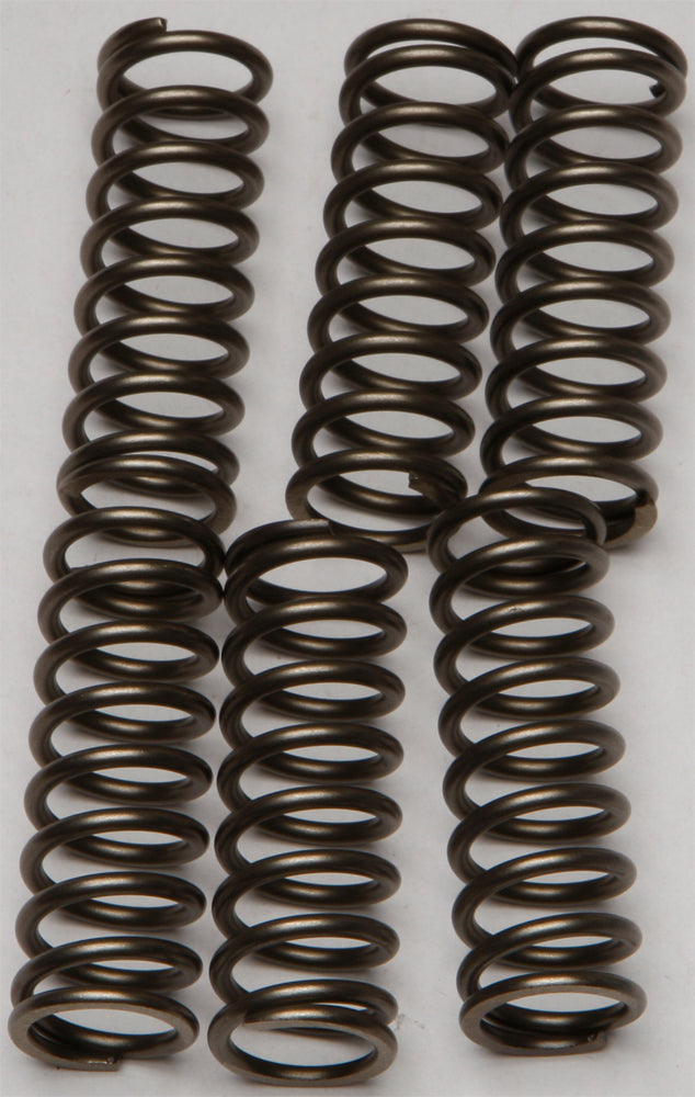 Ebc Clutch Springs Csk160