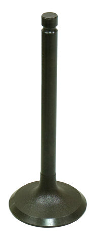 Bronco Intake Valve • #183-09157