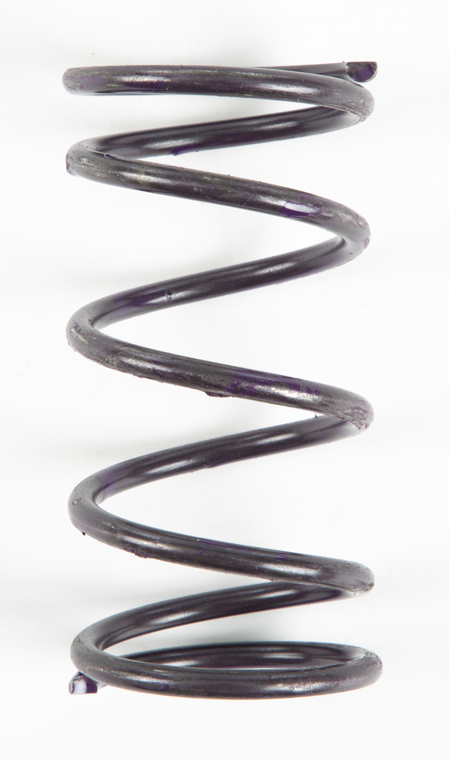 Comet Purple Spring • #207758