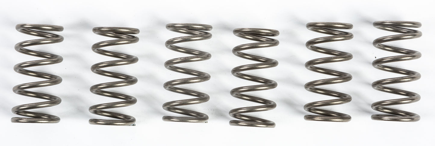 Ebc Clutch Springs Csk165