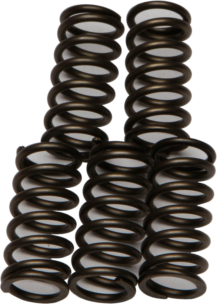 Ebc Clutch Springs Csk176