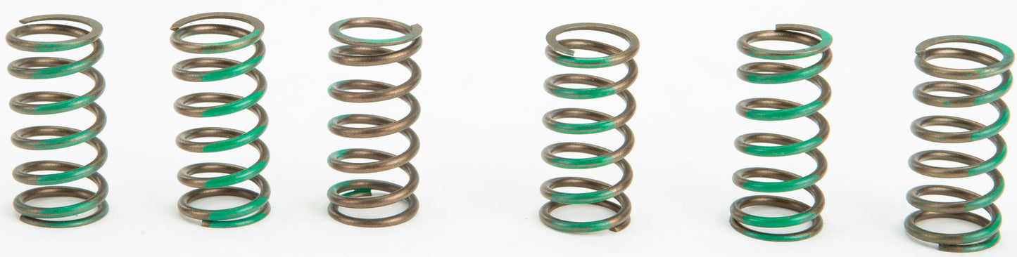 Pro Circuit High Performance Clutch Springs