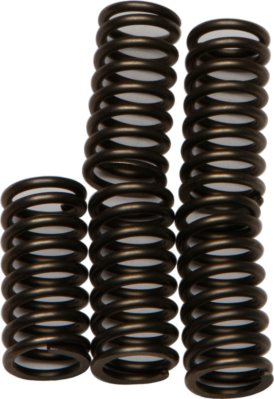 Ebc Clutch Springs Csk179