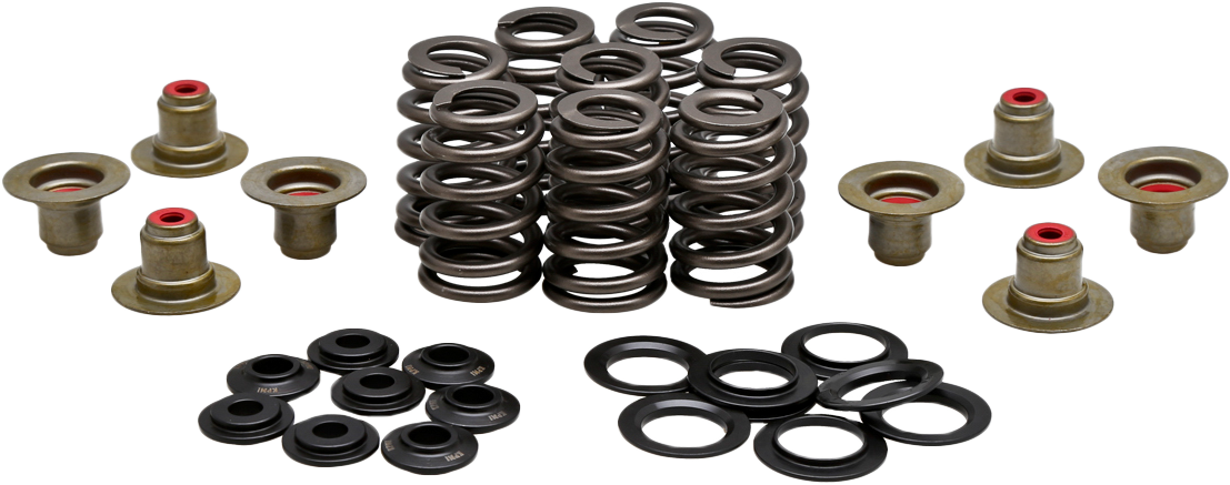 Kpmi BEEHIVE VALVE SPRING KIT .550 LIFT  M8`17-24 NON VVT