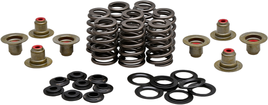 Kpmi BEEHIVE VALVE SPRING KIT .550 LIFT  M8`17-24 NON VVT