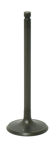 Bronco Intake Valve • #183-09194