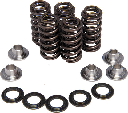 Kpmi Valve Spring Kit