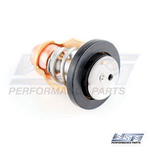 Wsm Thermostat