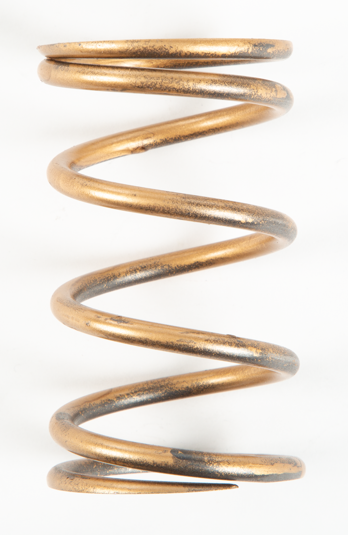 Comet Gold Spring