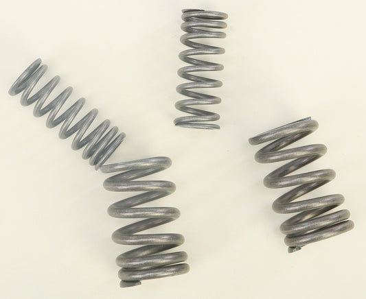 Bbr Performance Camshaft HD Valve Springs