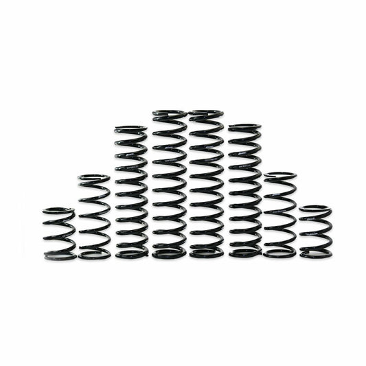 Zbroz Dual Rate Spring Kit Kaw