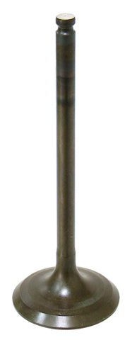 Bronco Intake Valve • #183-09160