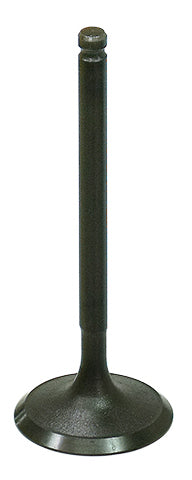 Bronco Intake Valve • #183-09213